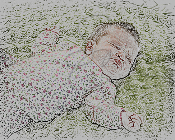 512 Color Pencil.jpg