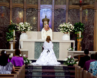 Mass & Reception