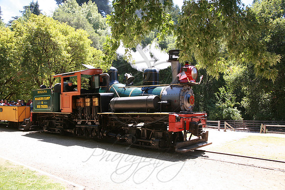 529.jpg