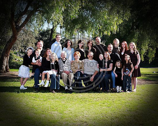 219_std.jpg
