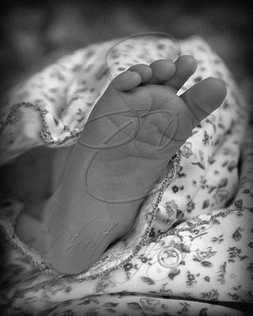 521 B&W.jpg
