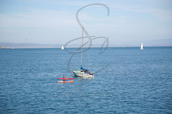 386.jpg