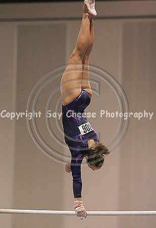 img_7049 crop_std.jpg